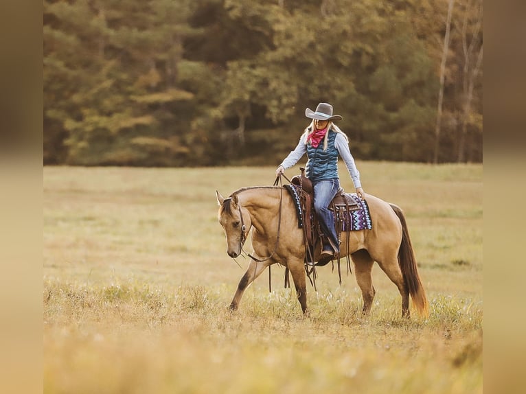 American Quarter Horse Wałach 5 lat 152 cm Bułana in Lyles, TN