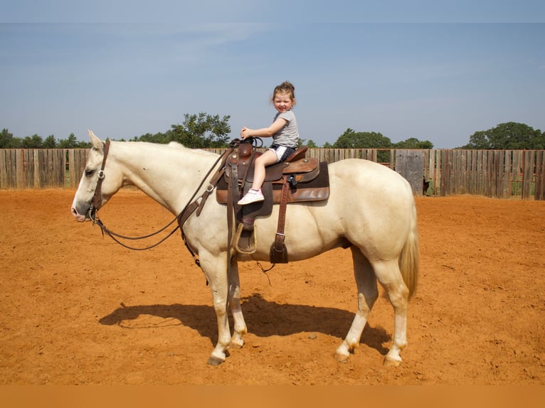 American Quarter Horse Wałach 6 lat 152 cm Izabelowata in Collinsville