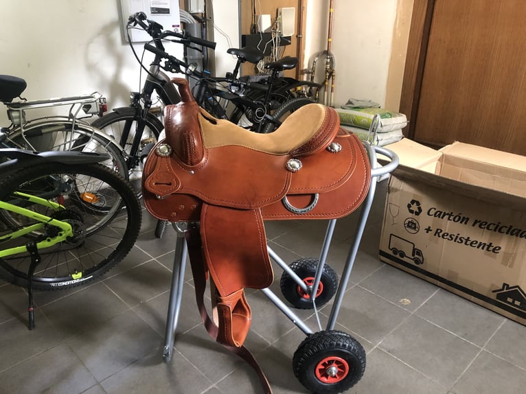 American Quarter Horse Wałach 7 lat 157 cm Gniada in Zonhoven