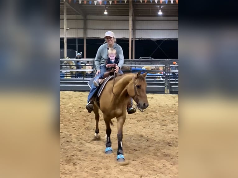 American Quarter Horse Wałach 7 lat Bułana in Stephenville, TX