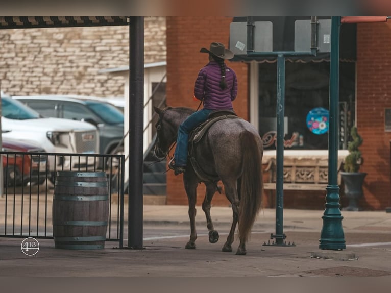 American Quarter Horse Wałach 9 lat 152 cm Kasztanowatodereszowata in Weatherford, TX