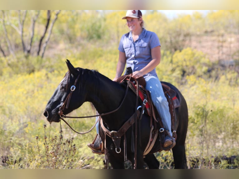 American Quarter Horse Wałach 9 lat Kara in Breckenridge TX