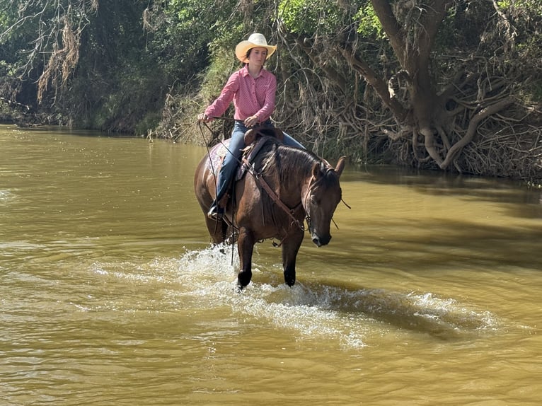American Quarter Horse Wallach 10 Jahre 163 cm Rotfuchs in Weatherford, TX