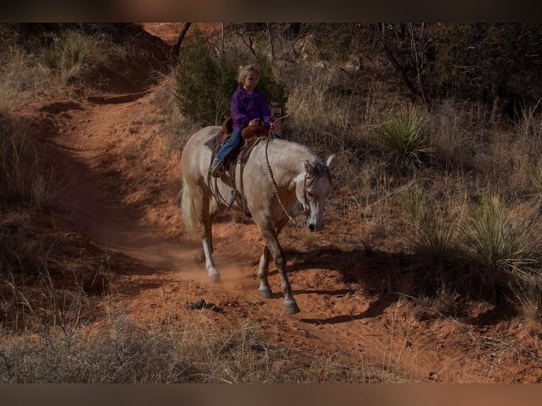 American Quarter Horse Wallach 10 Jahre Schimmel in Canyon, TX