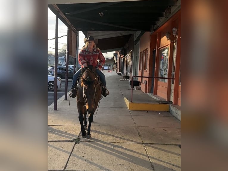 American Quarter Horse Wallach 11 Jahre 155 cm Roan-Bay in Henderson