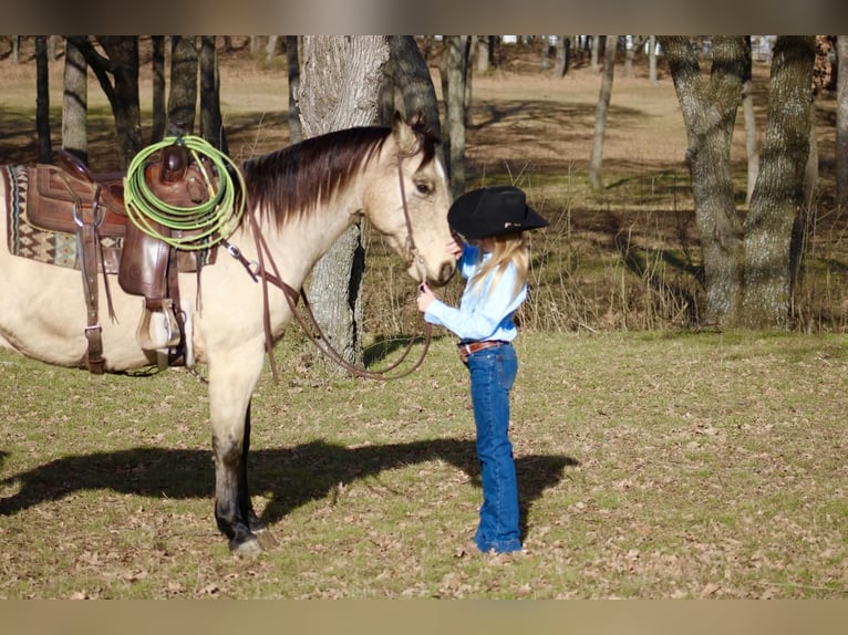 American Quarter Horse Mix Wallach 11 Jahre Buckskin in Joshua, TX