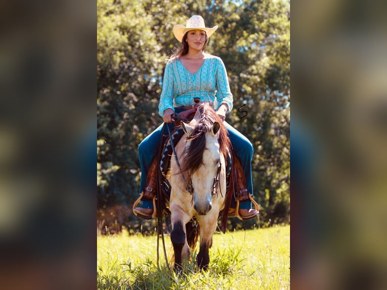 American Quarter Horse Wallach 12 Jahre 132 cm Buckskin in Hardinsburg In