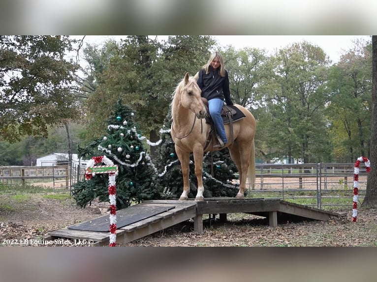 American Quarter Horse Wallach 12 Jahre 150 cm Palomino in Terrell, TX