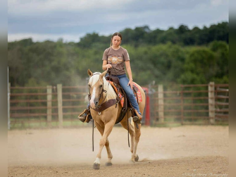 American Quarter Horse Wallach 13 Jahre 145 cm in Auburn