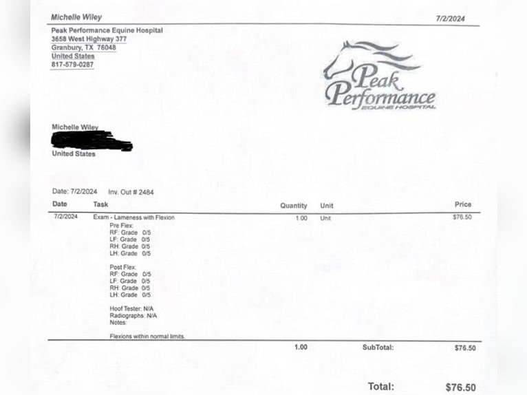 American Quarter Horse Wallach 15 Jahre 157 cm Roan-Bay in Stephenville TX