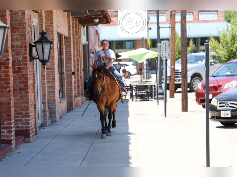 American Quarter Horse Wallach 15 Jahre Rotbrauner in Terrell