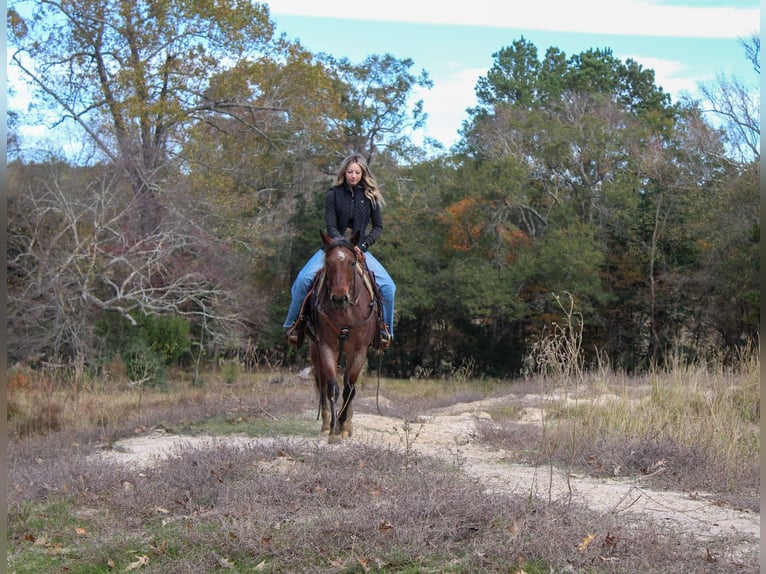 American Quarter Horse Wallach 6 Jahre 150 cm Roan-Bay in Rusk Tx