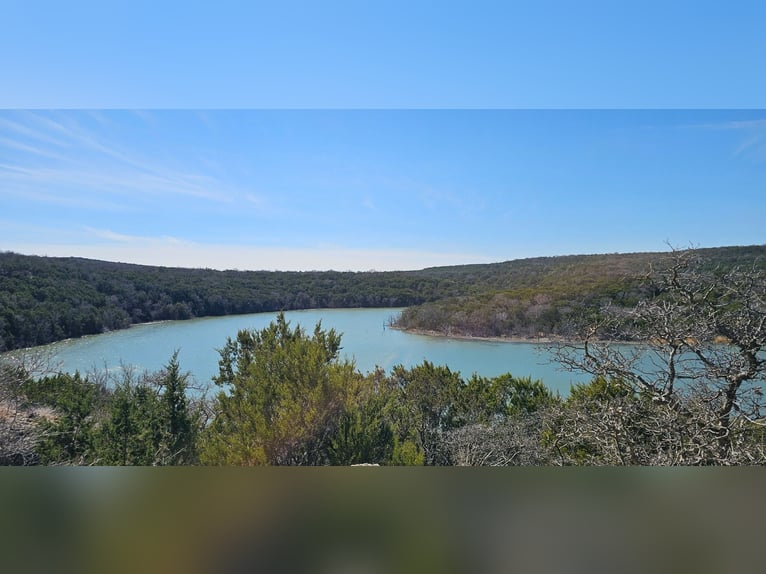 American Quarter Horse Wallach 7 Jahre 155 cm Rotbrauner in Weatherford