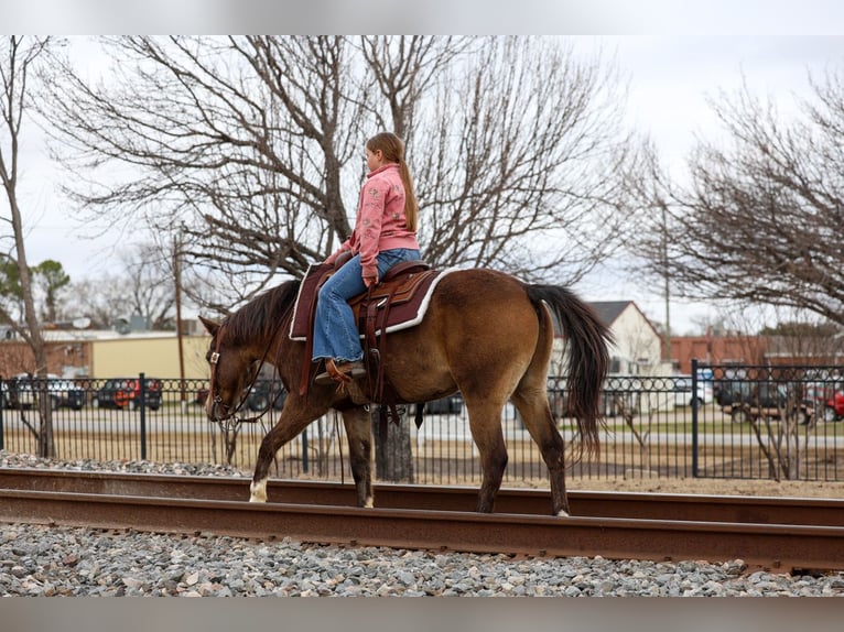 American Quarter Horse Wallach 8 Jahre 142 cm Rotbrauner in Forney