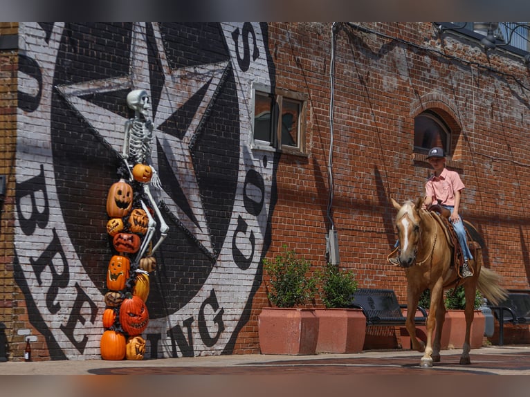 American Quarter Horse Wallach 9 Jahre 145 cm Palomino in Joshua, TX