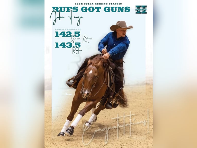 American Quarter Horse Wallach 9 Jahre 152 cm Rotfuchs in Buffalo