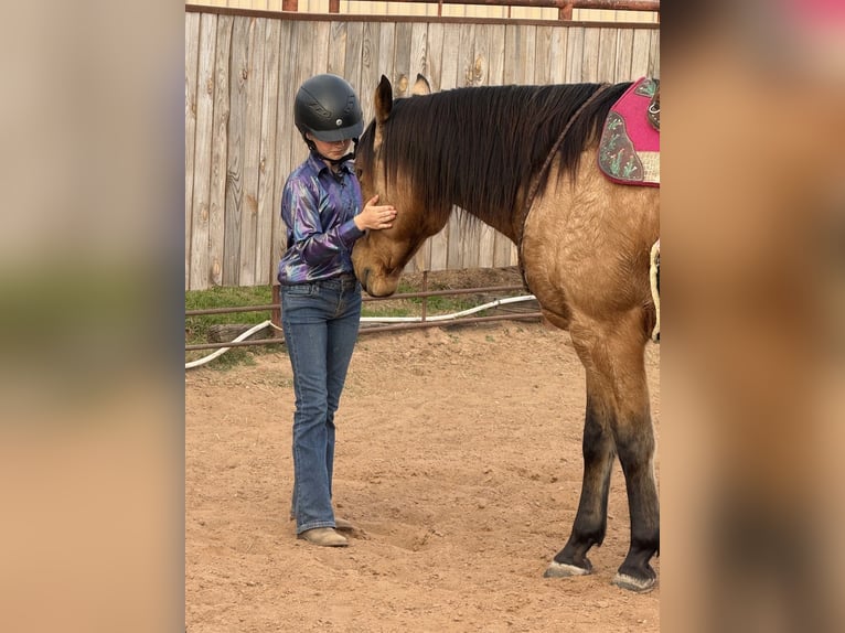 American Quarter Horse Wallach 9 Jahre 155 cm Buckskin in Weatherford