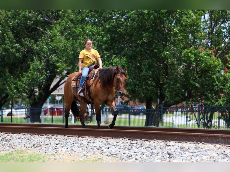 American Quarter Horse Wallach 9 Jahre Falbe in Terrell