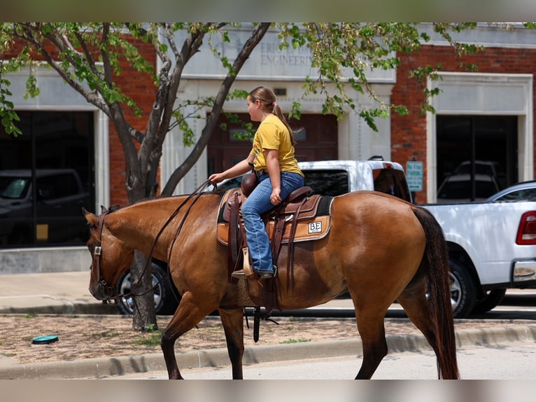 American Quarter Horse Wallach 9 Jahre Falbe in Terrell