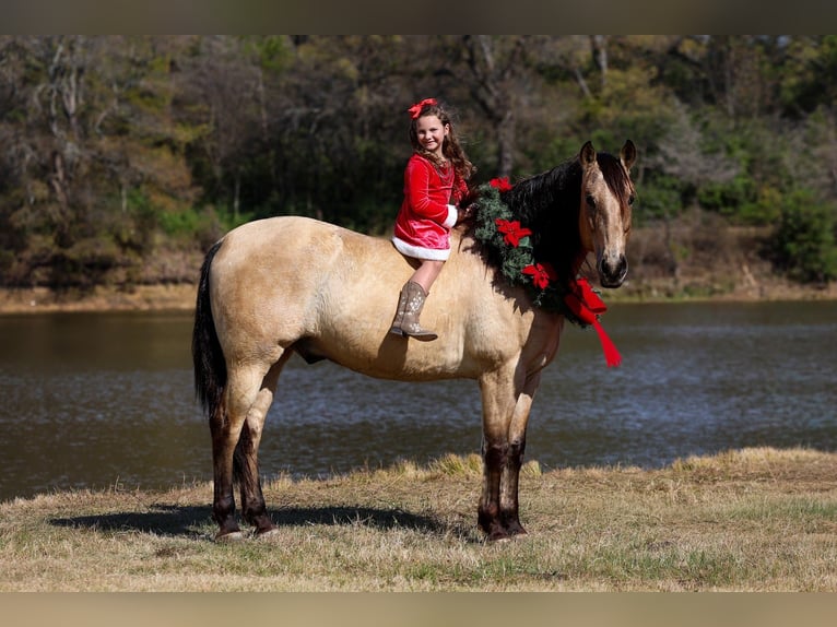 Andaluces Caballo castrado 10 años 160 cm Buckskin/Bayo in Forney