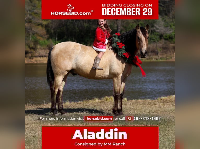 Andaluces Caballo castrado 10 años 160 cm Buckskin/Bayo in Forney