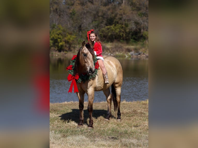Andaluces Caballo castrado 9 años 160 cm Buckskin/Bayo in Forney