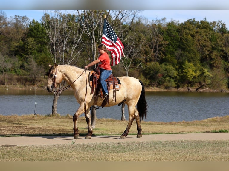 Andalusian Gelding 10 years 15.3 hh Buckskin in Forney