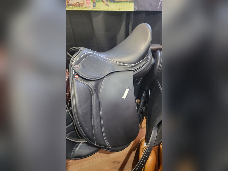 Andalusian Gelding 11 years 17 hh Grey-Dapple in 5440 Golling an der Salzach