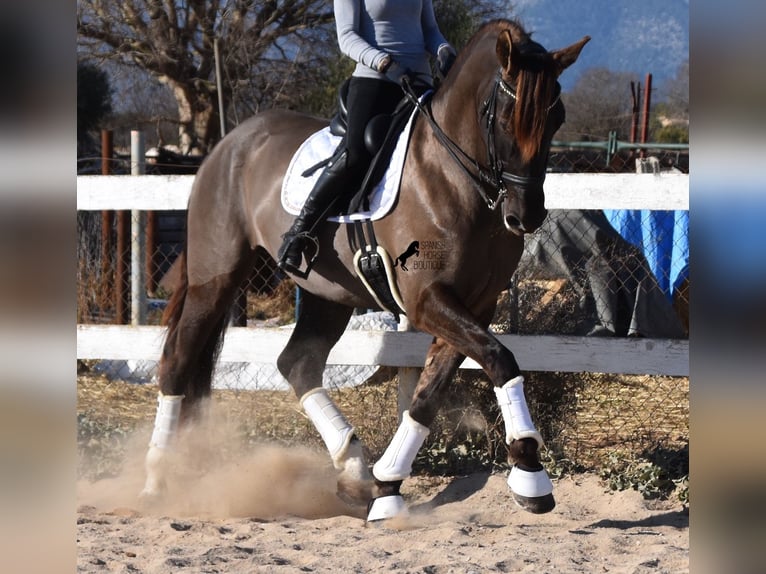 À Cheval ! - BD, informations, cotes