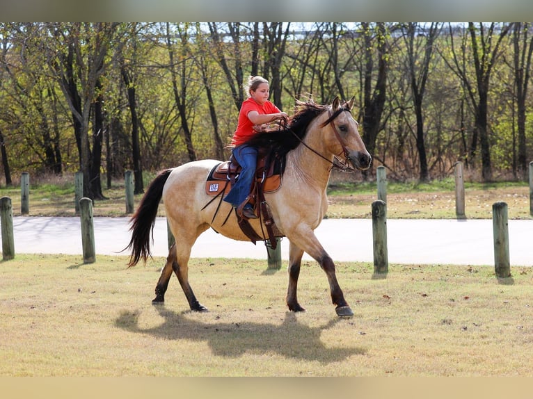 Andalusiër Ruin 9 Jaar 160 cm Buckskin in Forney