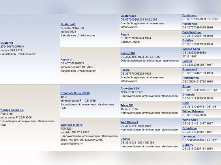 Andere Rassen Hengst 5 Jaar 179 cm in Tampere