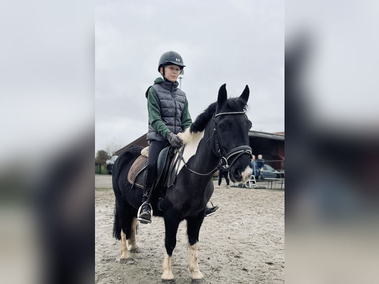 Andere Rassen Ruin 12 Jaar 130 cm Gevlekt-paard in Ihlow