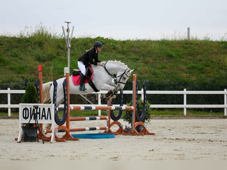 Andere Rassen Ruin 12 Jaar 160 cm Schimmel in София / Sofija Andere Rassen Ruin 12 Jaar 160 cm Schimmel in София / Sofija