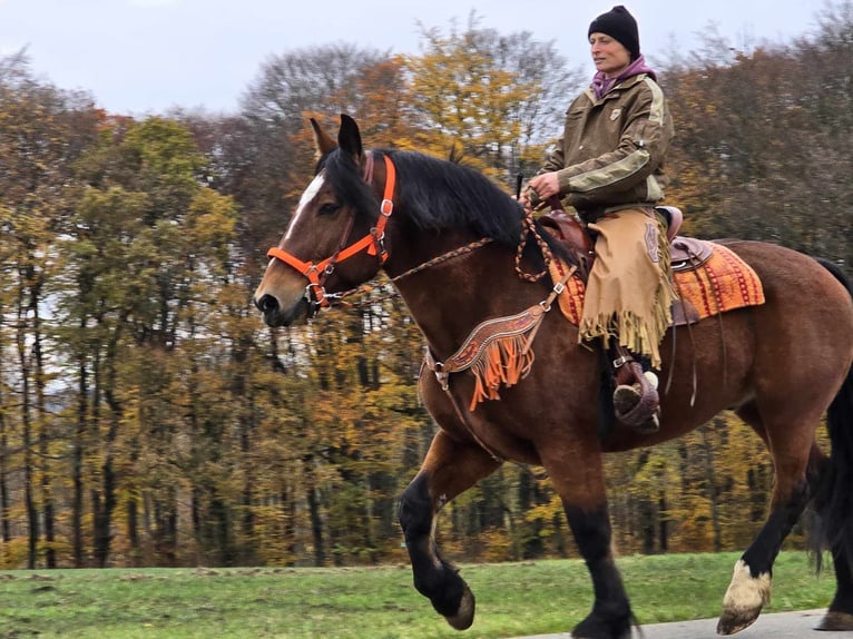 Andra varmblod Valack 9 år 162 cm Brun in Linkenbach