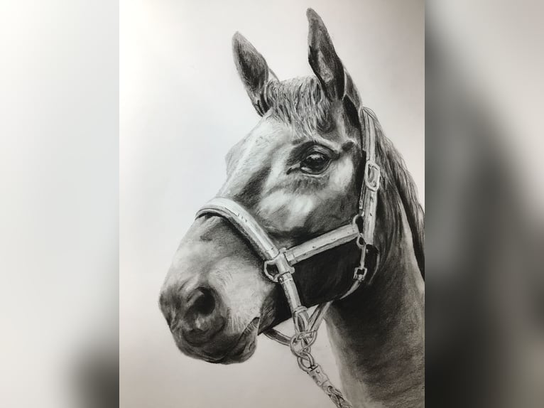 Tierportrait, Bleistift, Steinstift, Pastel nach Fotovorlage ab 50€