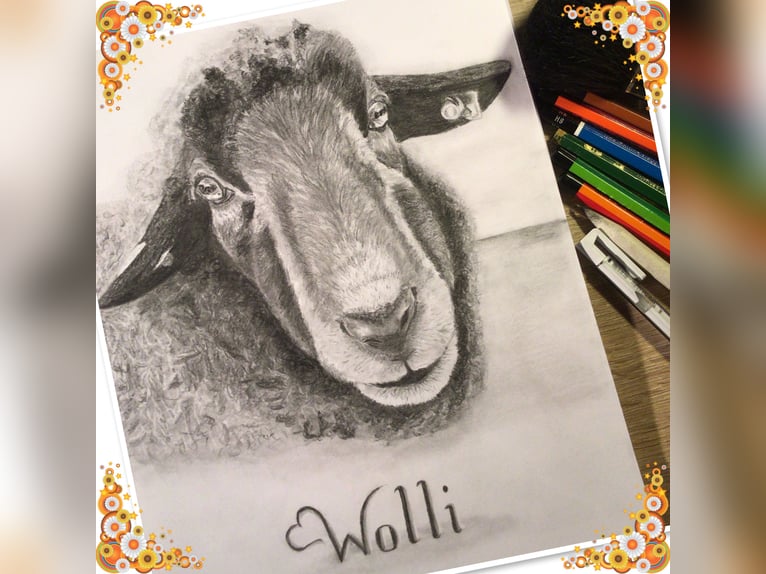 Tierportrait, Bleistift, Steinstift, Pastel nach Fotovorlage ab 50€
