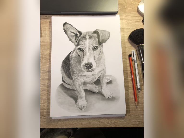 Tierportrait, Bleistift, Steinstift, Pastel nach Fotovorlage ab 50€