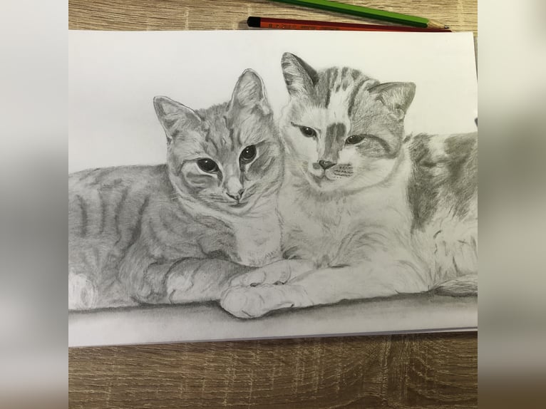 Tierportrait, Bleistift, Steinstift, Pastel nach Fotovorlage ab 50€