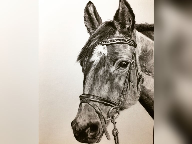Tierportrait, Bleistift, Steinstift, Pastel nach Fotovorlage ab 50€