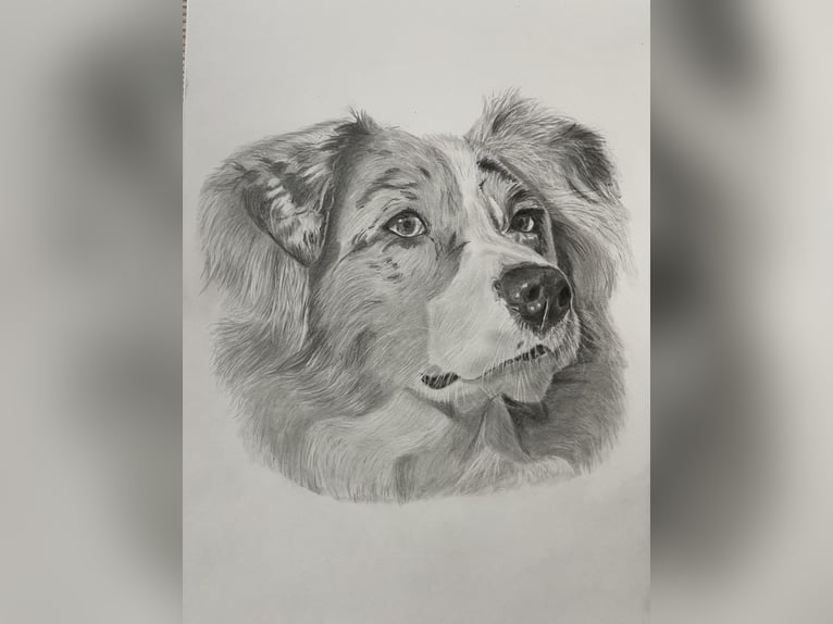 Tierportrait, Bleistift, Steinstift, Pastel nach Fotovorlage ab 50€