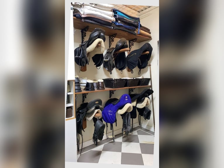Selle de cheval