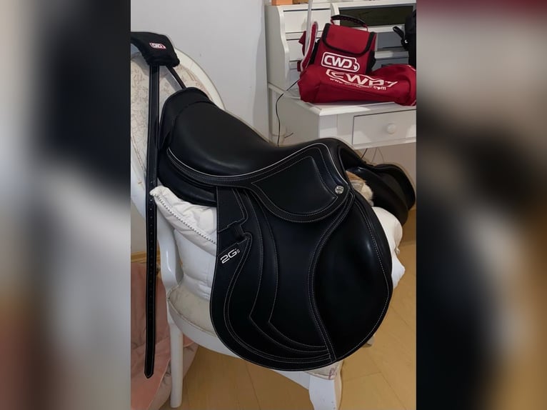 Selle de cheval