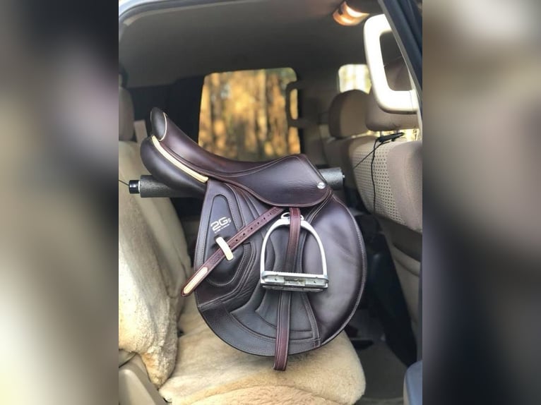 Selle de cheval