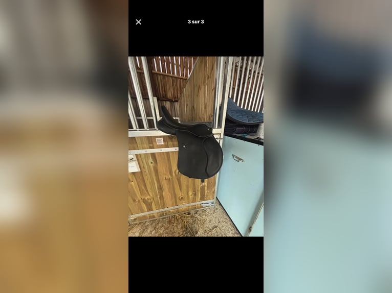 Selle wintec 500, 17 pouces