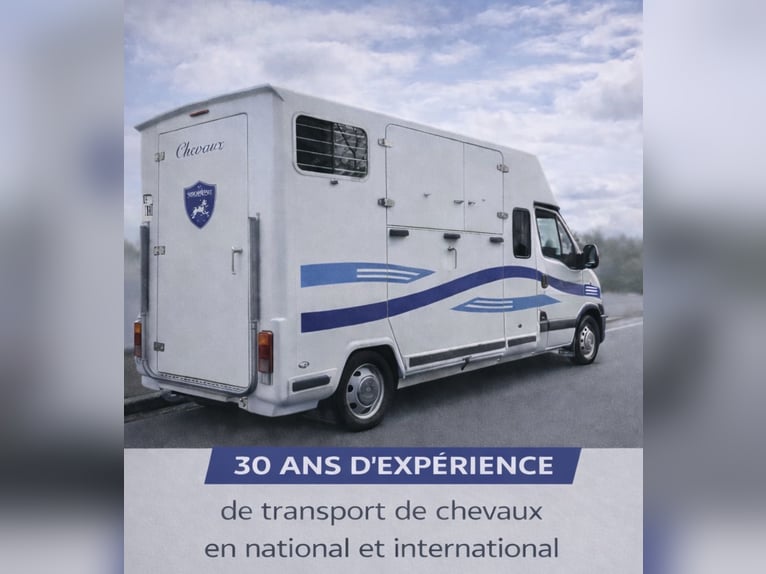 Transport et cours particuliers 95