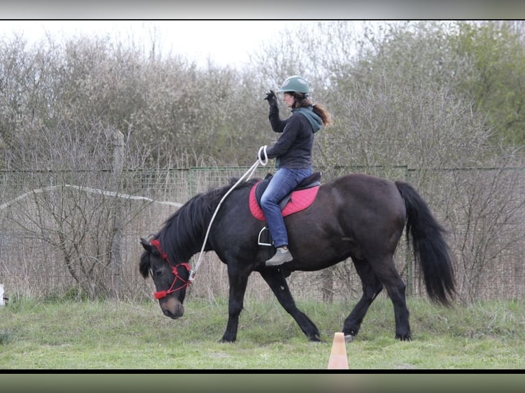 Transport et cours particuliers 95