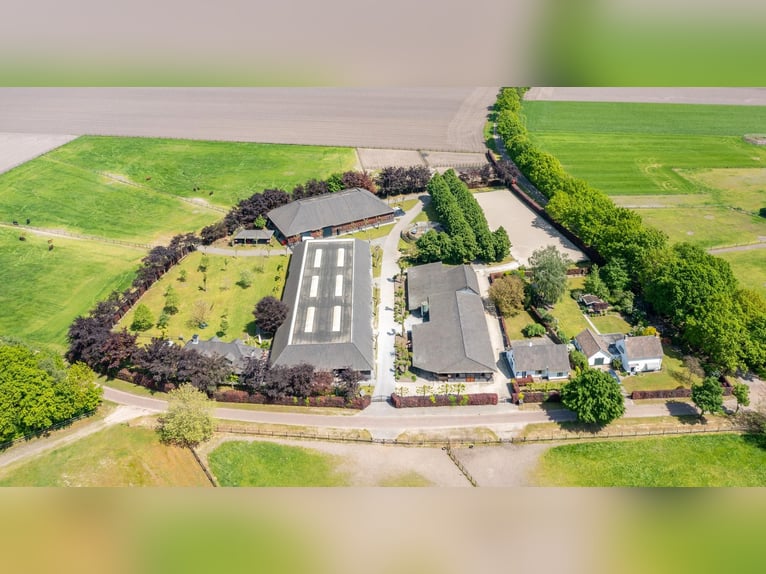 A beautiful, fully equipped equestrian facility located in a fantastic location