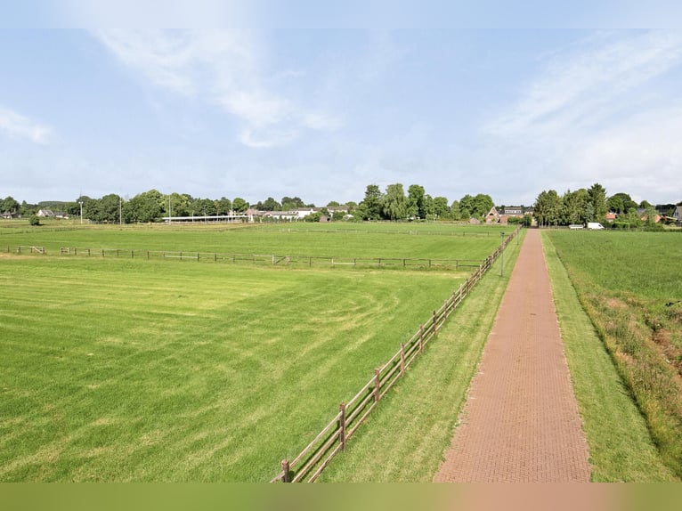 A Stunning Equestrian Estate with Endless Possibilities for the Professional Horse Enthusiast!