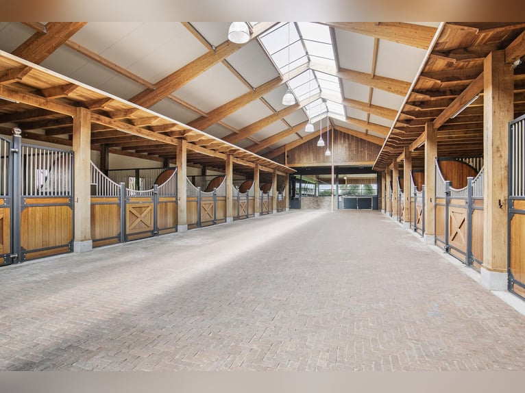 A Stunning Equestrian Estate with Endless Possibilities for the Professional Horse Enthusiast!