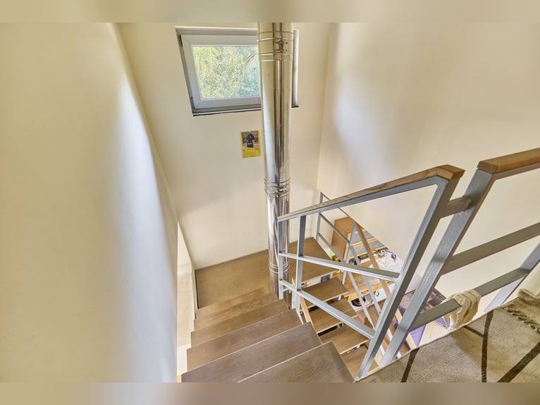 Achat d'un centre équestre à Enkenbach-Alsenborn – avec une maison d'habitation récente dans un cadr